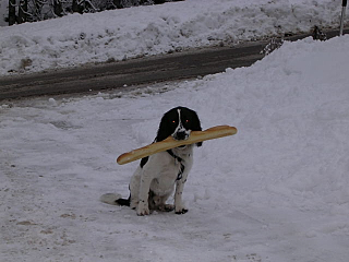 The Chalet Peloton bread boy