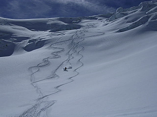 Bald Tim making tracks